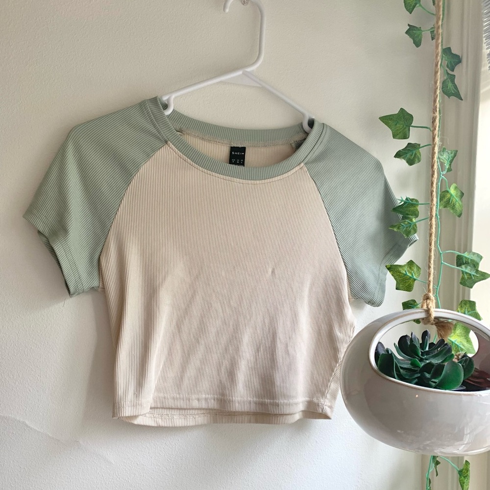 pale green, and cream short-sleeve colorblock cropped tee.
